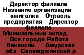 Директор филиала › Название организации ­ Zажигалка › Отрасль предприятия ­ Директор филиала › Минимальный оклад ­ 1 - Все города Работа » Вакансии   . Амурская обл.,Селемджинский р-н